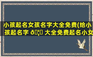 小孩起名女孩名字大全免费(给小孩起名字 🦍 大全免费起名小女孩名字大全小女孩)